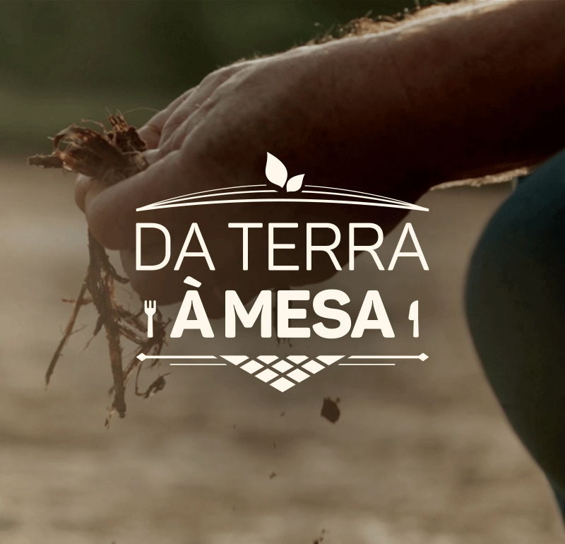 WEBSÉRIE DA TERRA À MESA